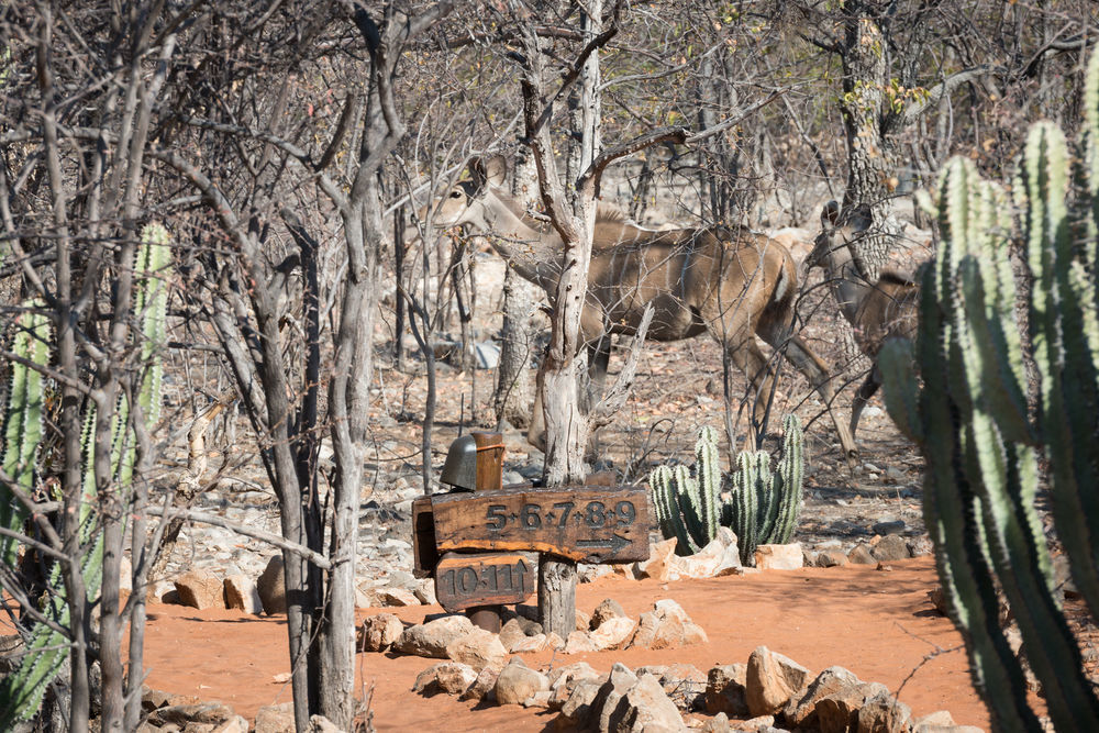 Ongava Tented Camp - All-Inclusive Okaukuejo Dış mekan fotoğraf