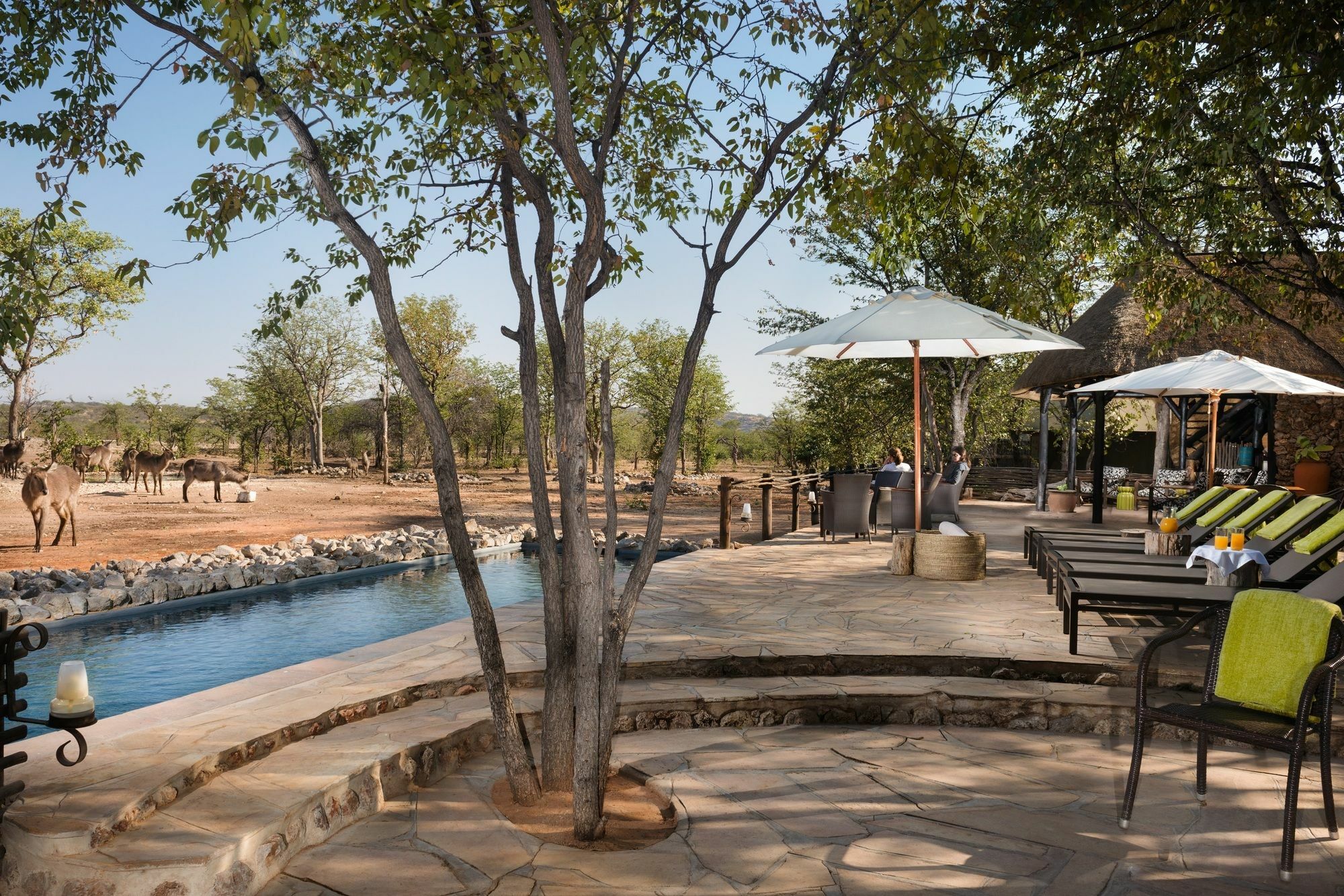 Ongava Tented Camp - All-Inclusive Okaukuejo Dış mekan fotoğraf
